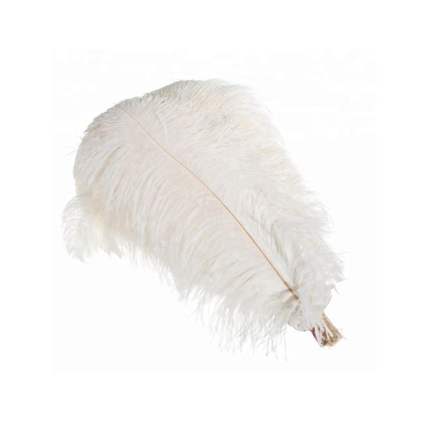 Аренда перьев страуса 50 см-3